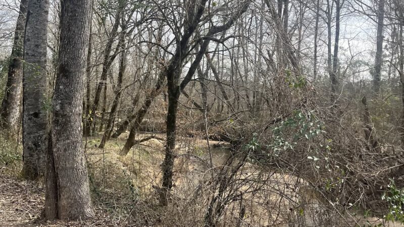 Trailhead, Creek line Trail - Opelika, AL