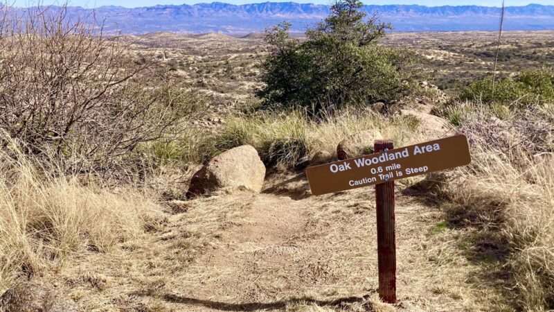 Oracle State Park - Oracle, AZ