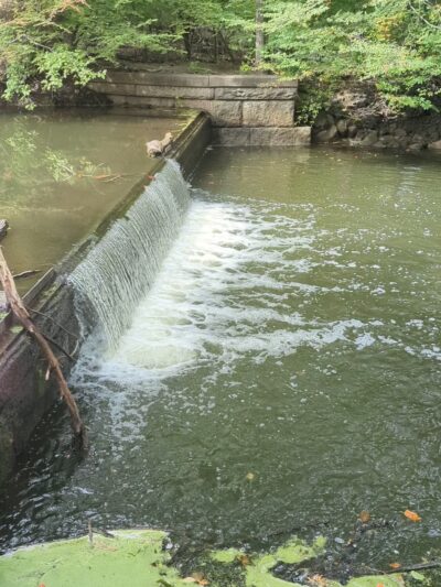 Van Buskirk Island County Park - Oradell, NJ