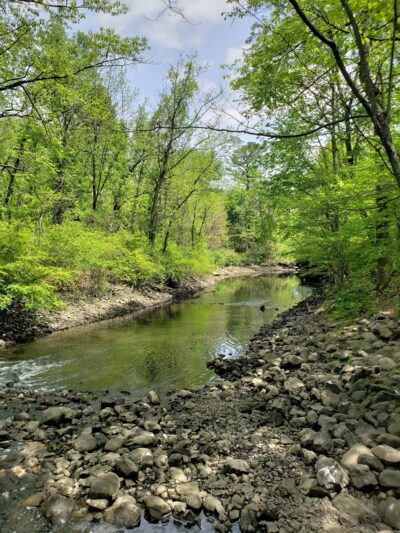 Van Buskirk Island County Park - Oradell, NJ