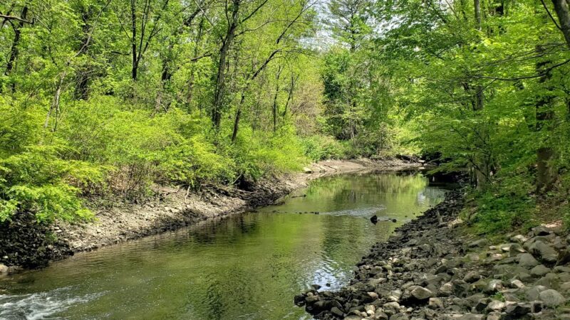 Van Buskirk Island County Park - Oradell, NJ