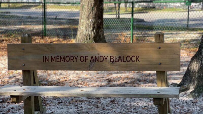 Unleashed Dog Park City of Orange Beach - Orange Beach, AL