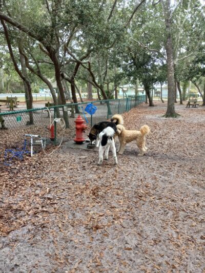 Unleashed Dog Park City of Orange Beach - Orange Beach, AL