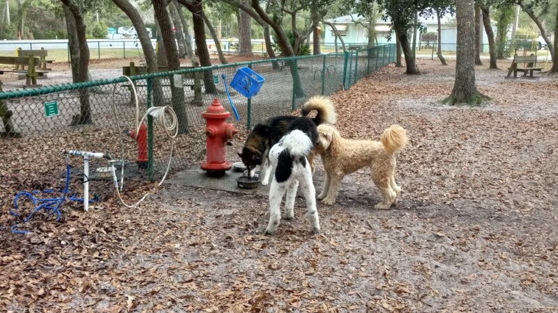 Unleashed Dog Park City of Orange Beach - Orange Beach, AL