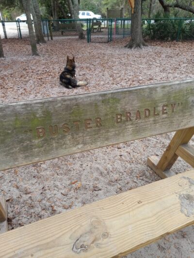 Unleashed Dog Park City of Orange Beach - Orange Beach, AL