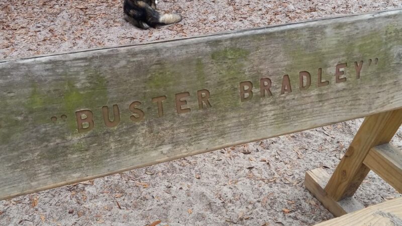 Unleashed Dog Park City of Orange Beach - Orange Beach, AL