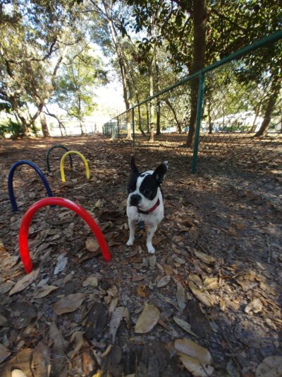 Unleashed Dog Park City of Orange Beach - Orange Beach, AL