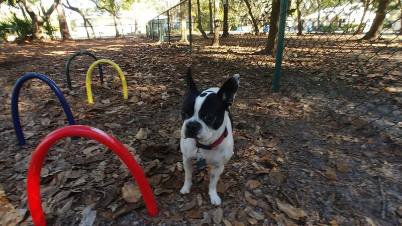 Unleashed Dog Park City of Orange Beach - Orange Beach, AL