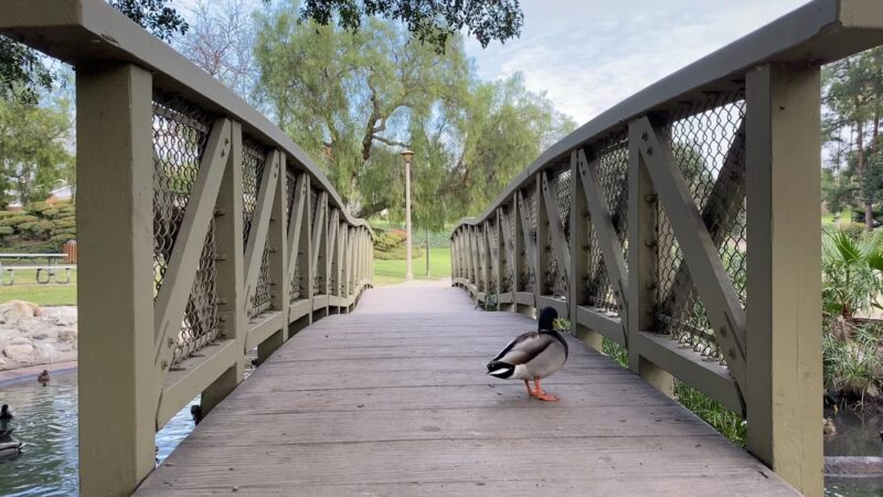 Eisenhower Park - Orange, CA