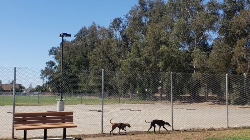 Orange Dog Park Association - Orange, CA