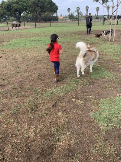 Orange Dog Park Association - Orange, CA