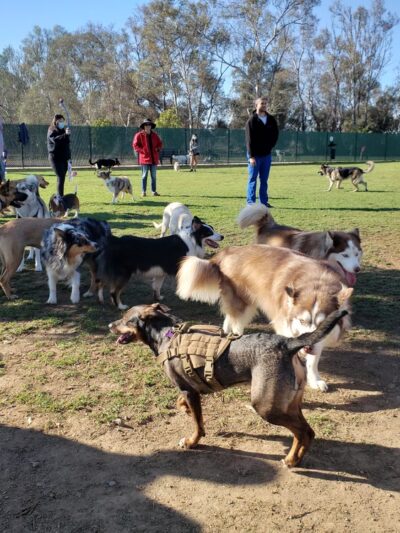 Orange Dog Park Association - Orange, CA