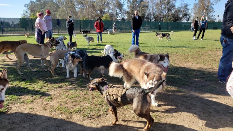 Orange Dog Park Association - Orange, CA