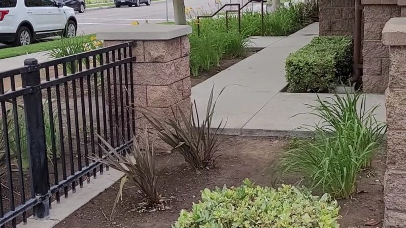 Steve Ambriz Memorial Park - Orange, CA