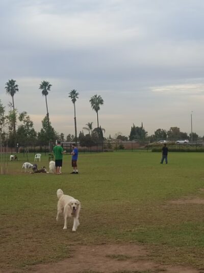 Yorba Park - Orange, CA