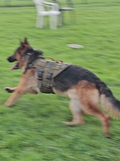 Yorba Park - Orange, CA