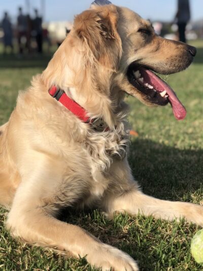 Yorba Park - Orange, CA