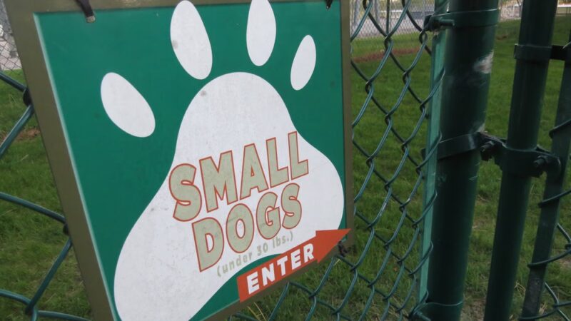 Orange City Dog Bark Park - Orange City, IA