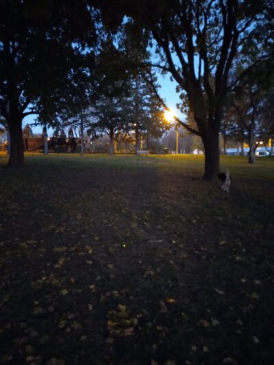 Orange City Dog Bark Park - Orange City, IA