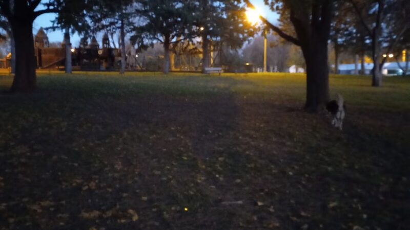 Orange City Dog Bark Park - Orange City, IA