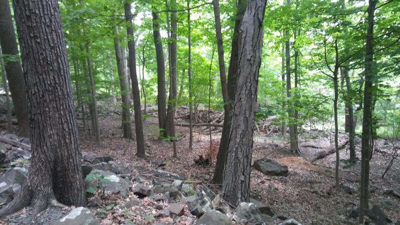 Buttermilk Falls County Park - Orangeburg, NY