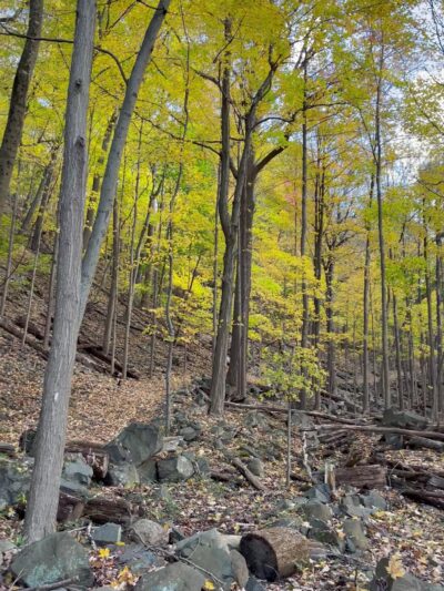 Buttermilk Falls County Park - Orangeburg, NY
