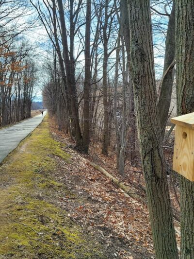 Joseph B. Clarke Rail Trail access point - Orangeburg, NY