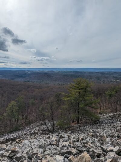 State Game Lands Number 81 - Orbisonia, PA
