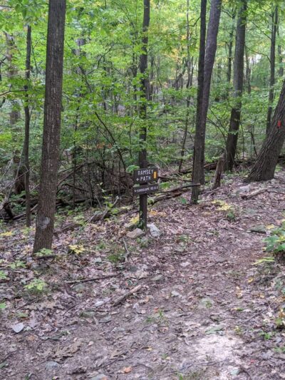 State Game Lands Number 81 - Orbisonia, PA
