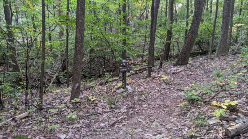 State Game Lands Number 81 - Orbisonia, PA