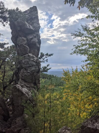 State Game Lands Number 81 - Orbisonia, PA