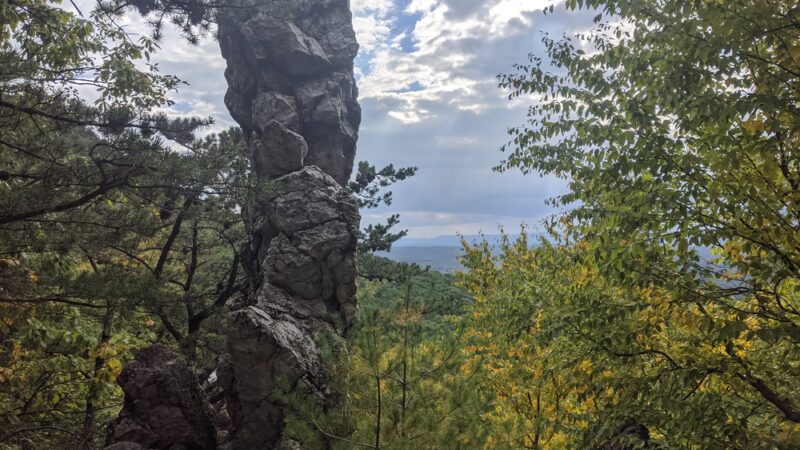 State Game Lands Number 81 - Orbisonia, PA