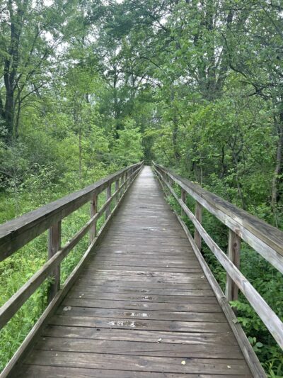 Birdsong Parklands - Orchard Park, NY