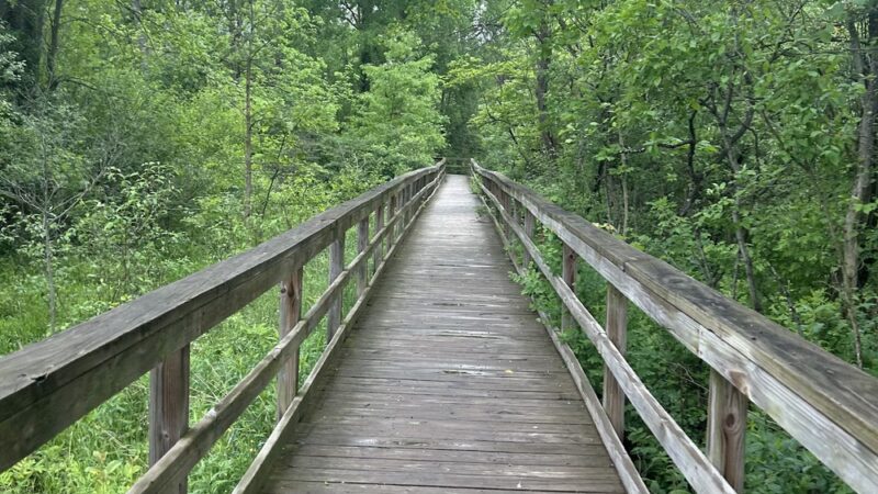 Birdsong Parklands - Orchard Park, NY