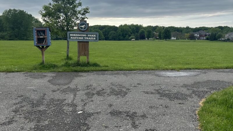 Birdsong Parklands - Orchard Park, NY