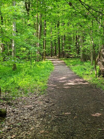 Birdsong Parklands - Orchard Park, NY