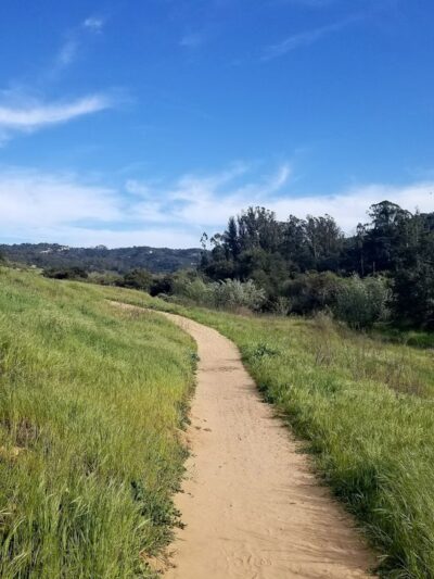 Dog Park at Orcutt Community Park - Orcutt, CA