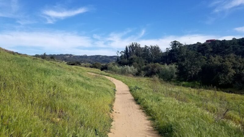 Dog Park at Orcutt Community Park - Orcutt, CA