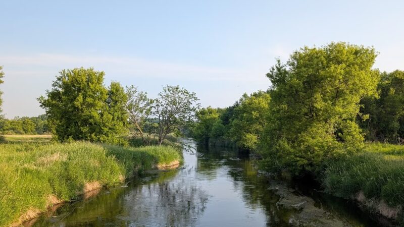 Badfish Creek Dog Training Area & Parking - Oregon, WI
