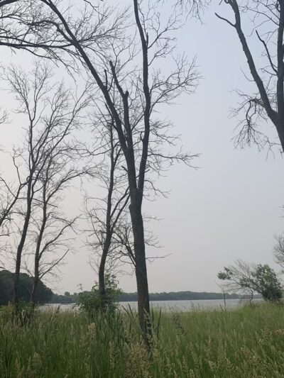 Badfish Creek Dog Training Area & Parking - Oregon, WI