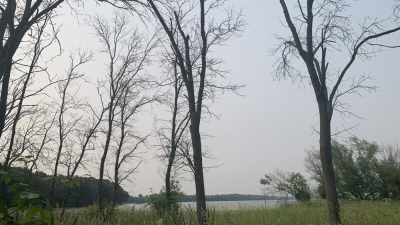 Badfish Creek Dog Training Area & Parking - Oregon, WI