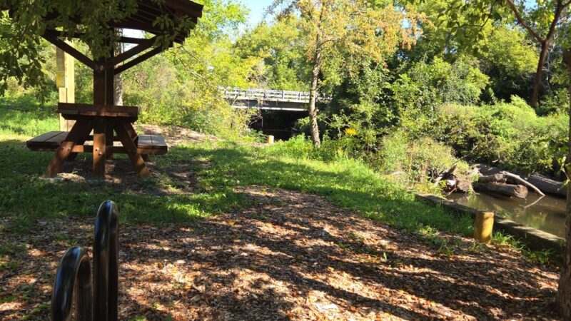 Badfish Creek Dog Training Area & Parking - Oregon, WI