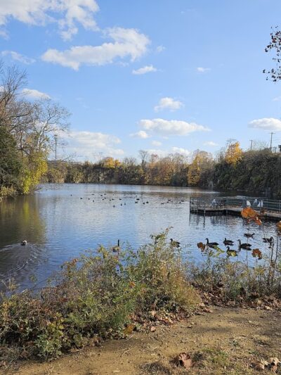Sandy Run Park - Springfield Township Montco - Oreland, PA