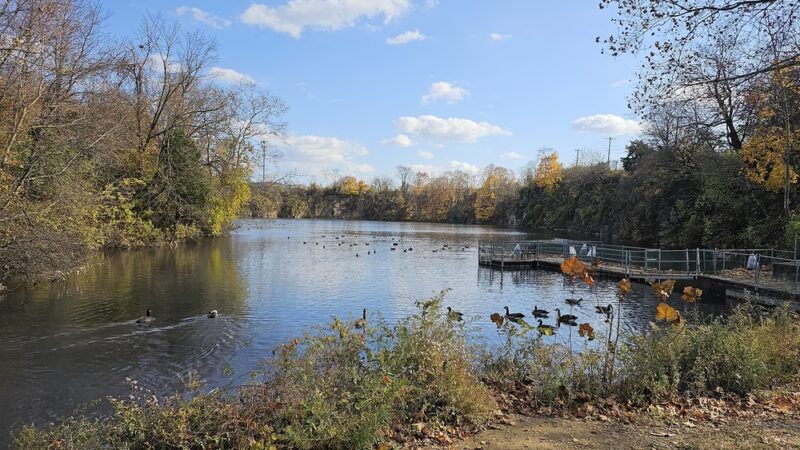 Sandy Run Park - Springfield Township Montco - Oreland, PA
