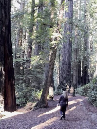 Cal-Barrel Road Trailhead (Pet-friendly) - Orick, CA