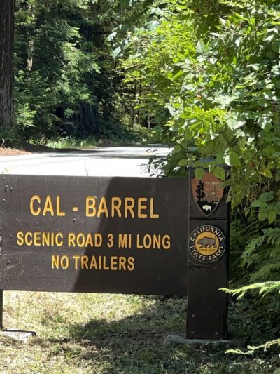 Cal-Barrel Road Trailhead (Pet-friendly) - Orick, CA