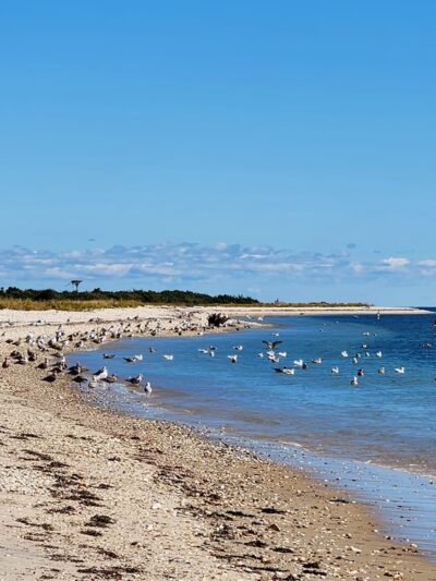 Orient Beach State Park - Orient, NY