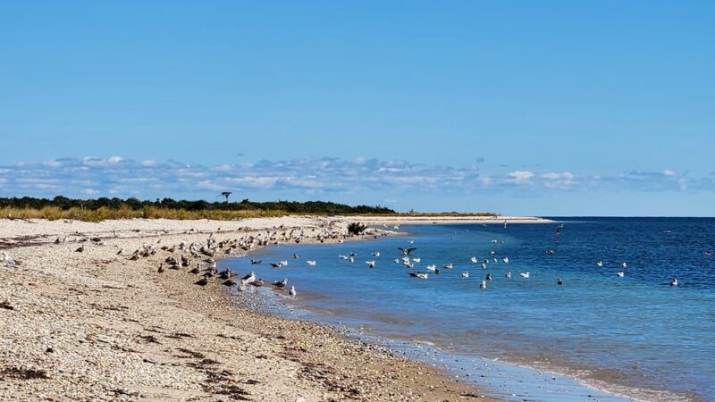 Orient Beach State Park - Orient, NY