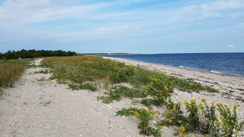 Orient Beach State Park - Orient, NY