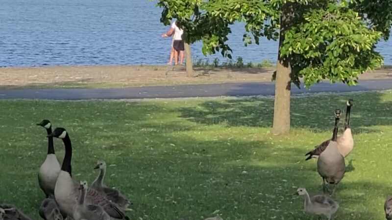 Centennial Park, Orland Park - Orland Park, IL